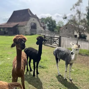  Hébergement de vacances La Borie France